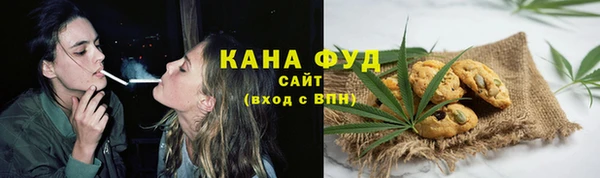 первитин Новозыбков