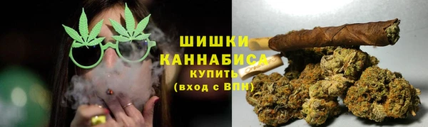 гашик Няндома