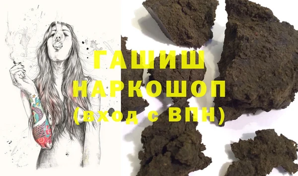 гашик Няндома