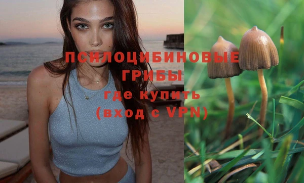 мескалин Нязепетровск