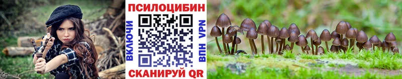 Псилоцибиновые грибы Cubensis  магазин продажи   Дзержинск 